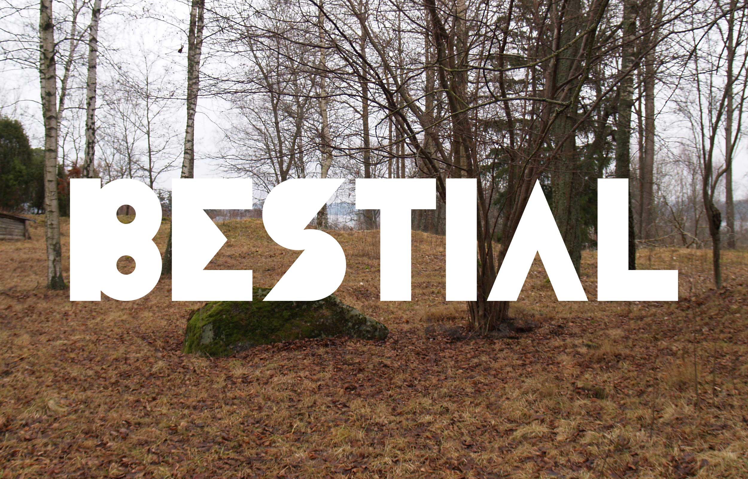 Large white Bestial lettering installed among bare trees