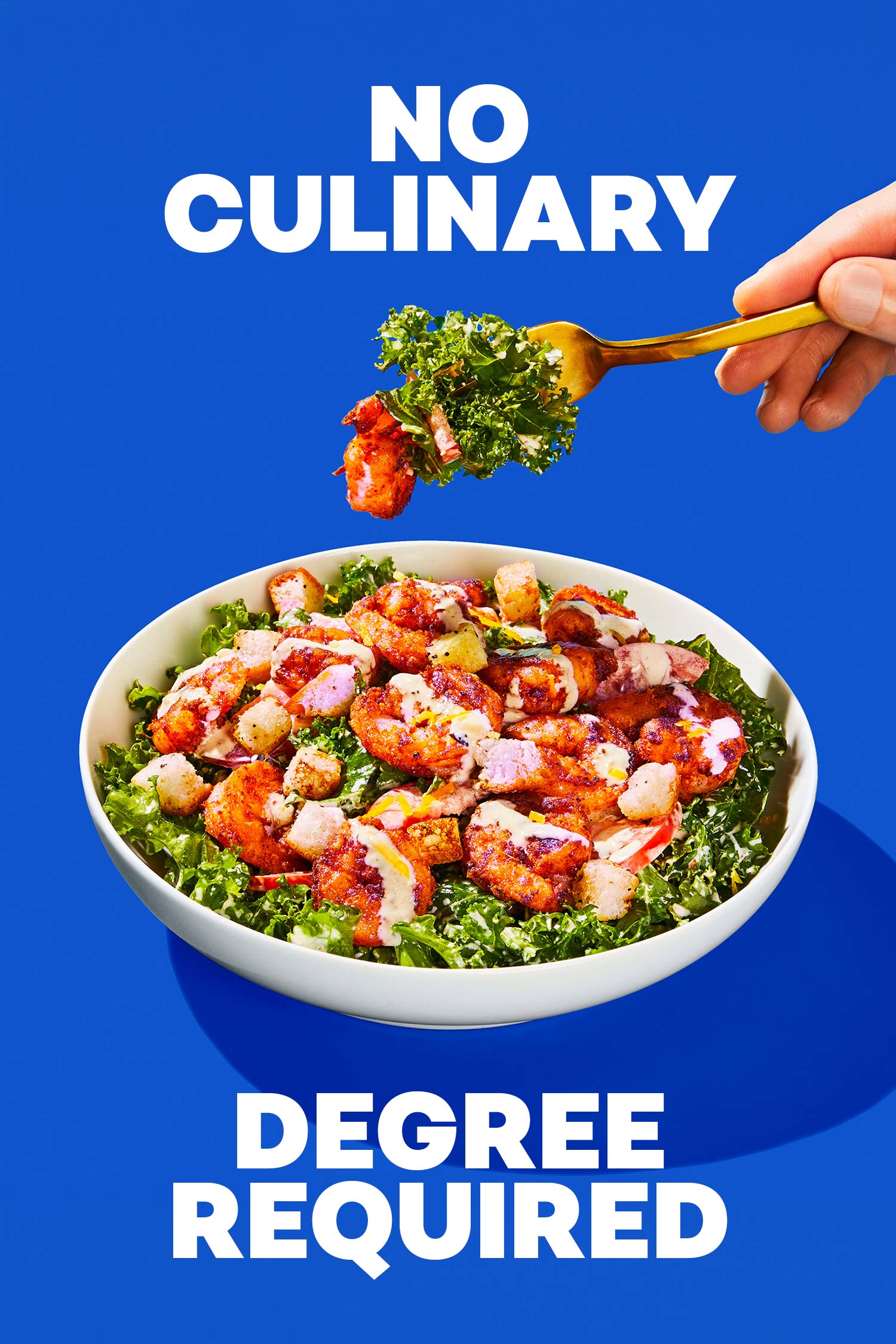 EveryPlate visual identity application