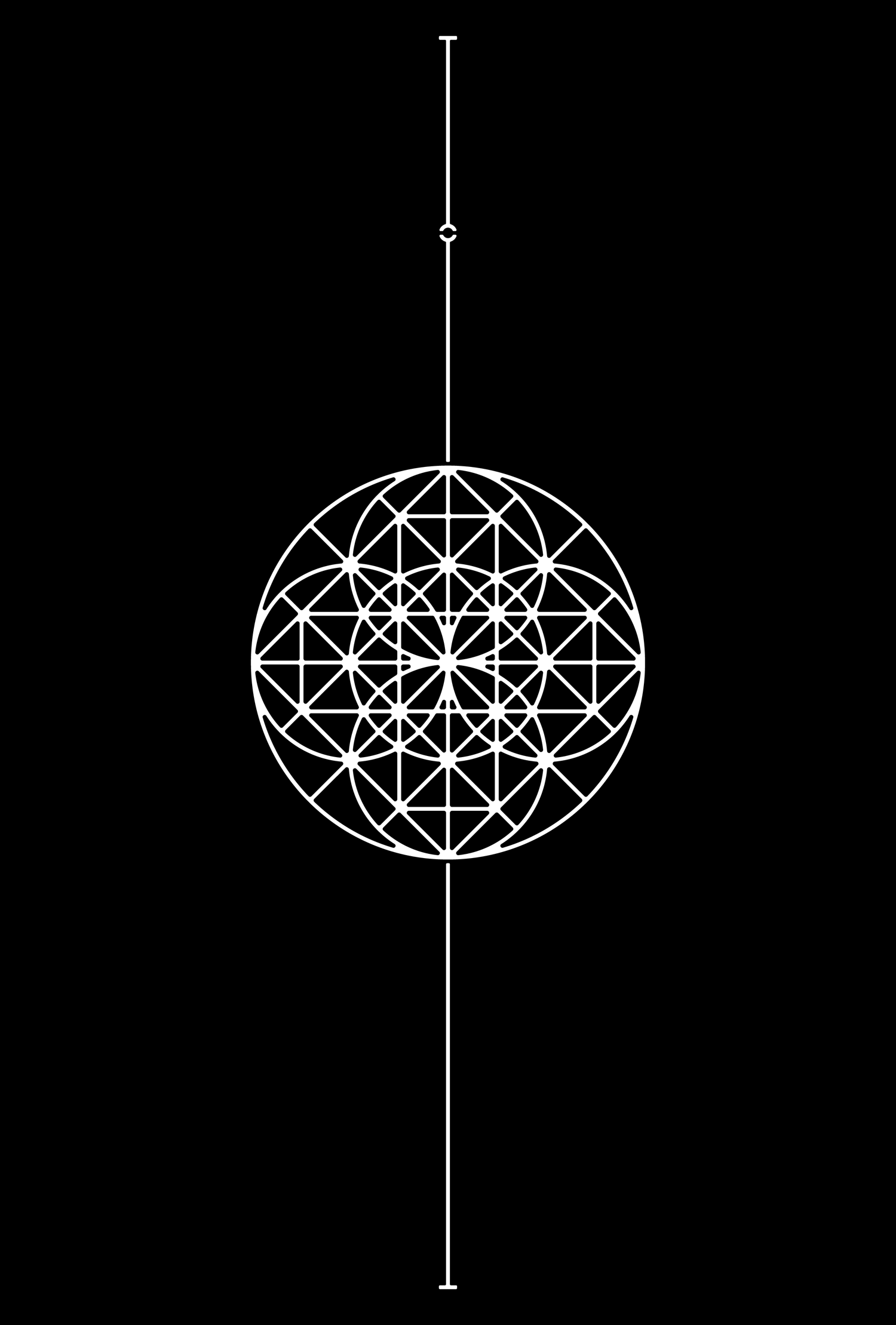 Fine white geometric wireframe circle on a vertical axis against black
