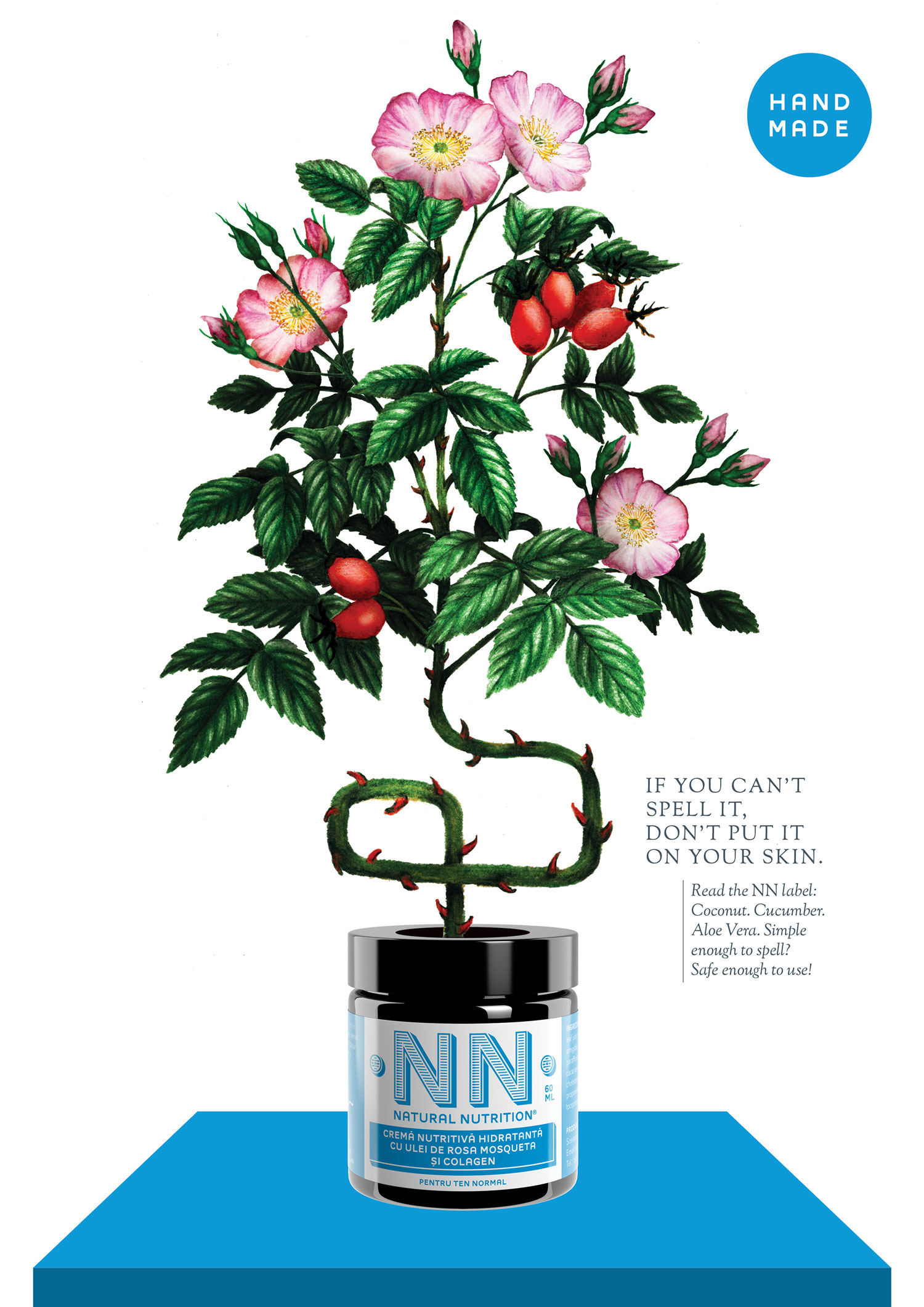 NN jar below a flowering branch on a bright blue geometric platform