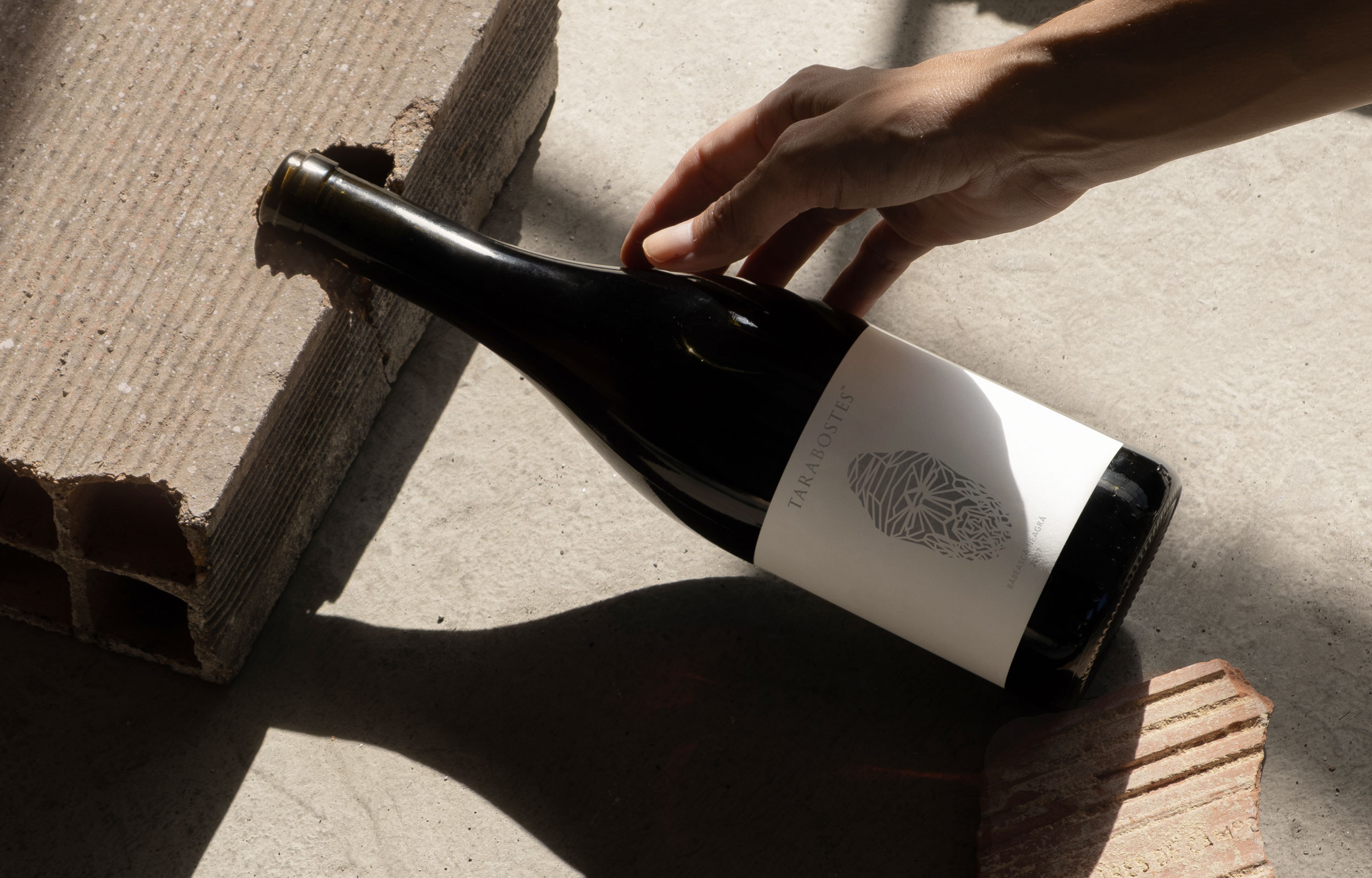 Hand holding a dark wine bottle with a white Tarabostes label