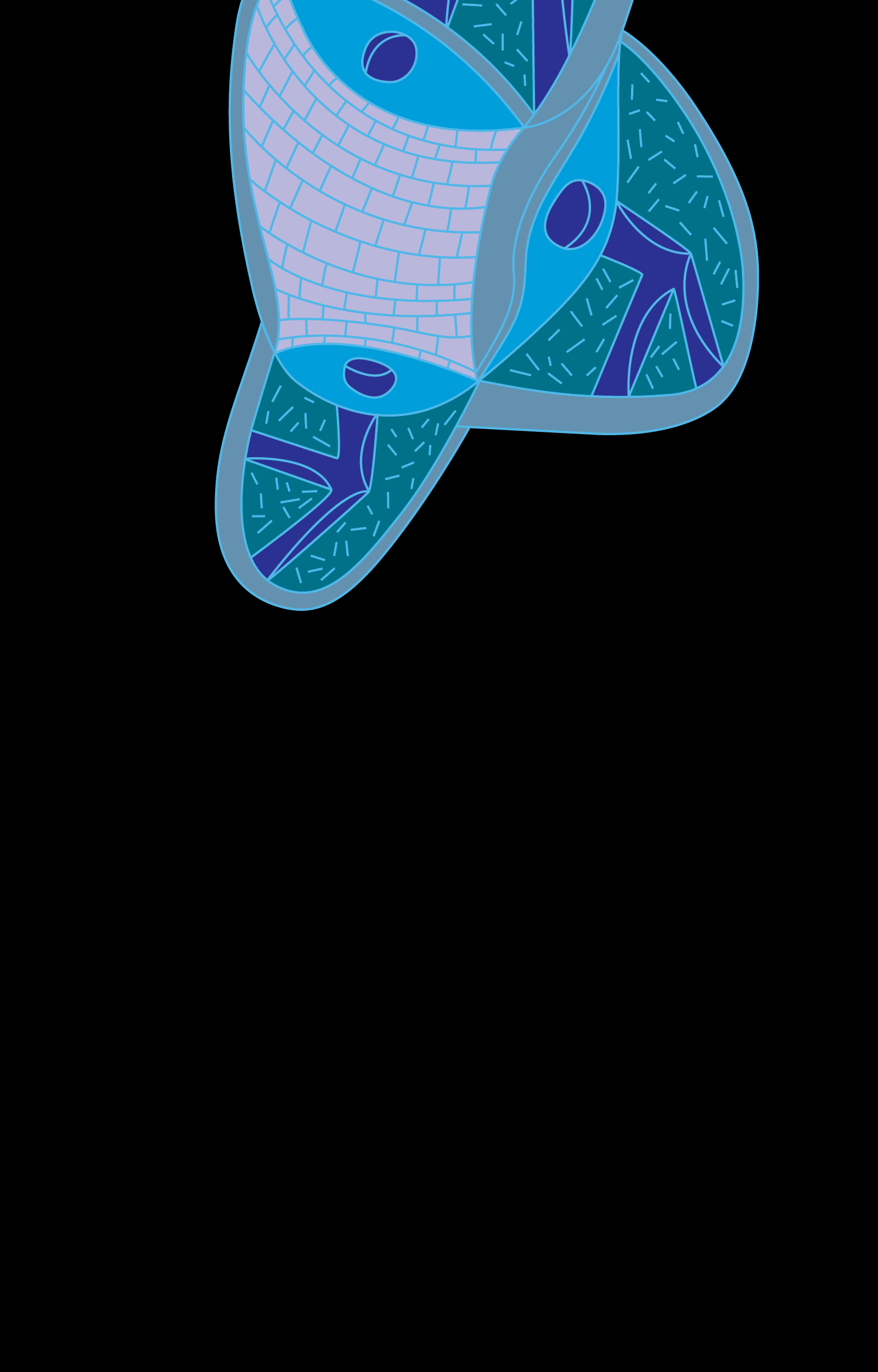 Curved purple and turquoise patterned abstract forms on black