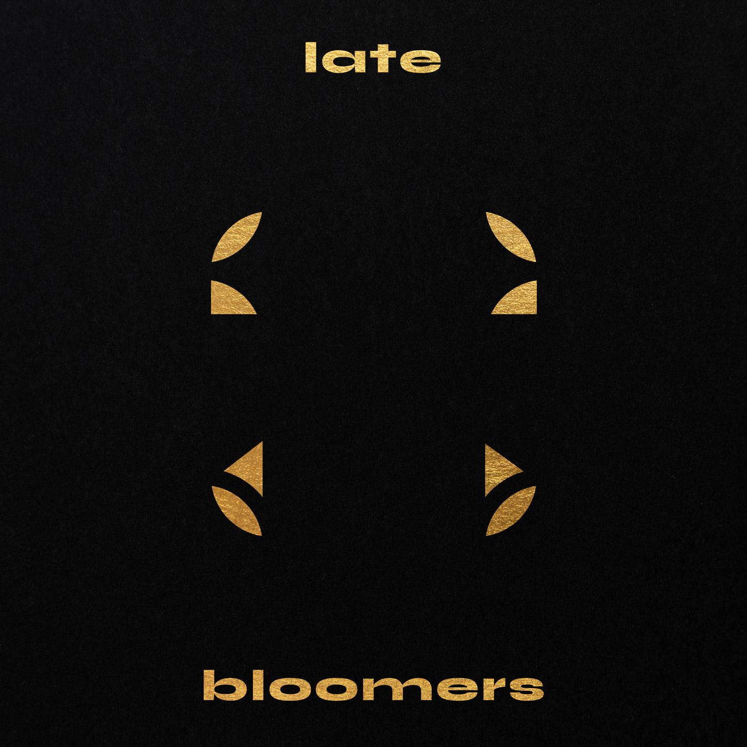 Four gold curved corner marks with Late Bloomers lettering on black